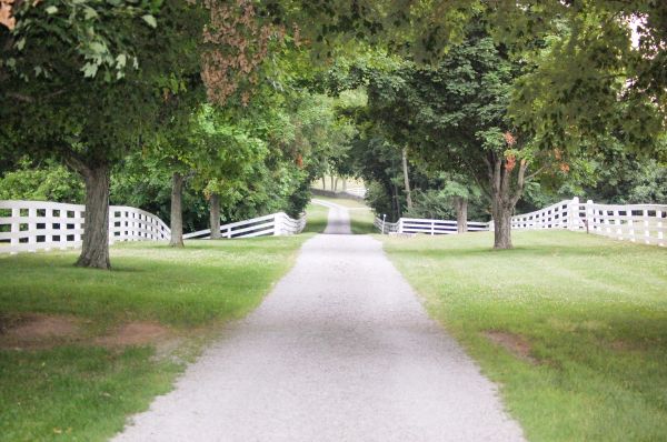 Grow your Gravel Road Installation business